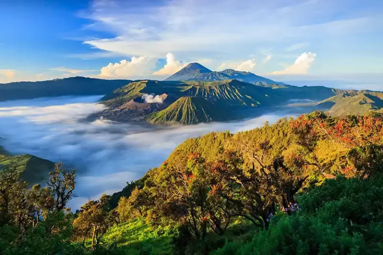 The Ideal Season to Visit Java Island