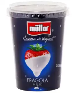 Brands of Yogurt